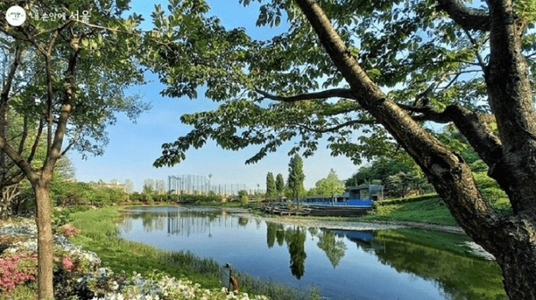 서울 호수 공원