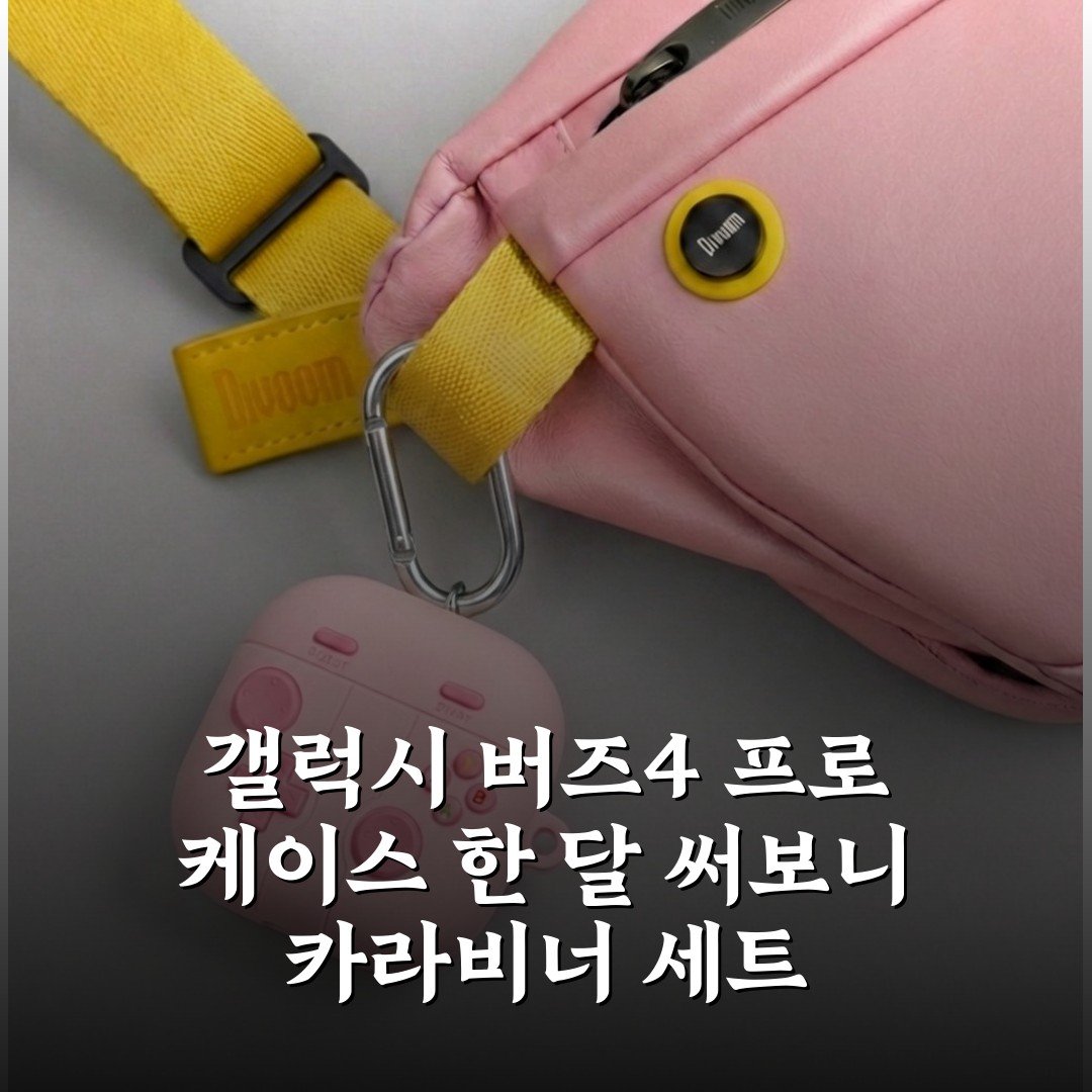 갤럭시 버즈4 프로 케이스 한 달 써보니 카라비너 세트