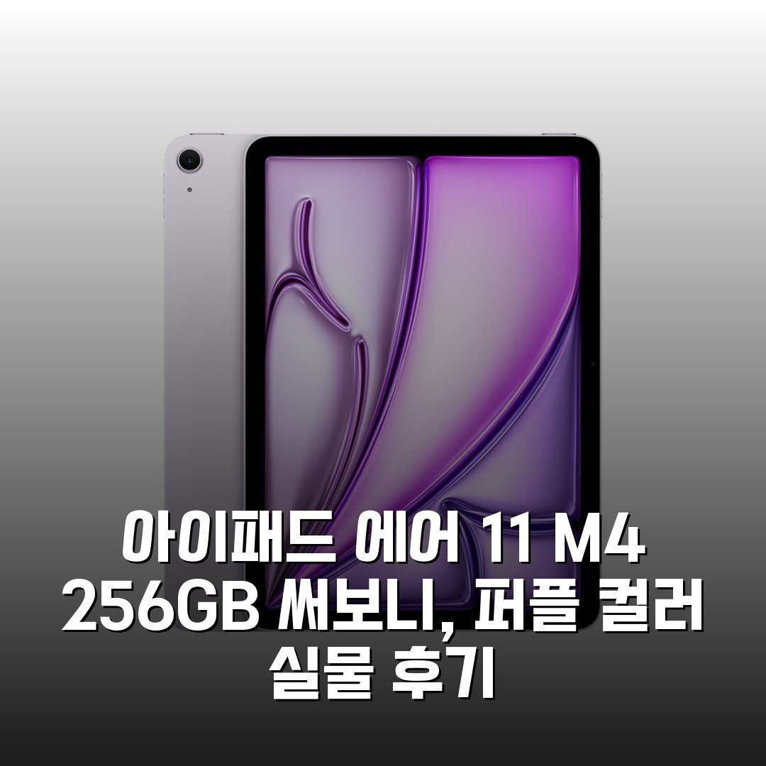아이패드 에어 11 M4 256GB 써보니, 퍼플 컬러 실물 후기