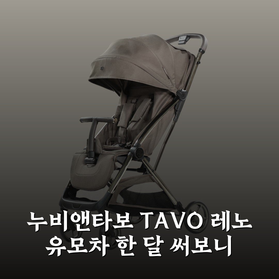 [누비앤타보] TAVO 레노 유모차 한 달 써보니