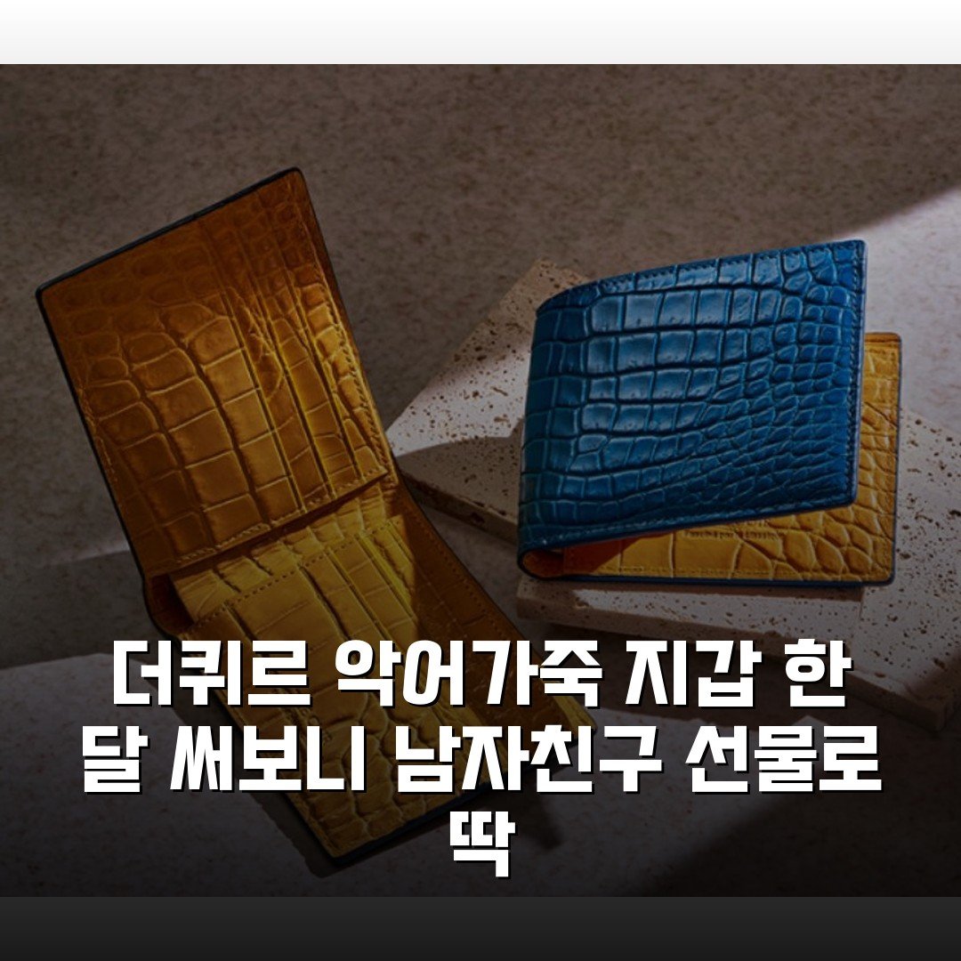 더퀴르 악어가죽 지갑 한 달 써보니 남자친구 선물로 딱