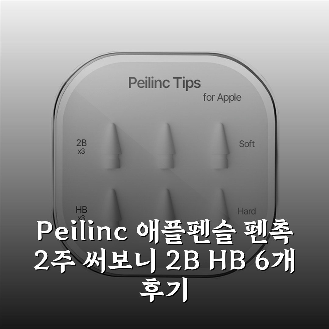 Peilinc 애플펜슬 펜촉 2주 써보니 2B HB 6개 후기