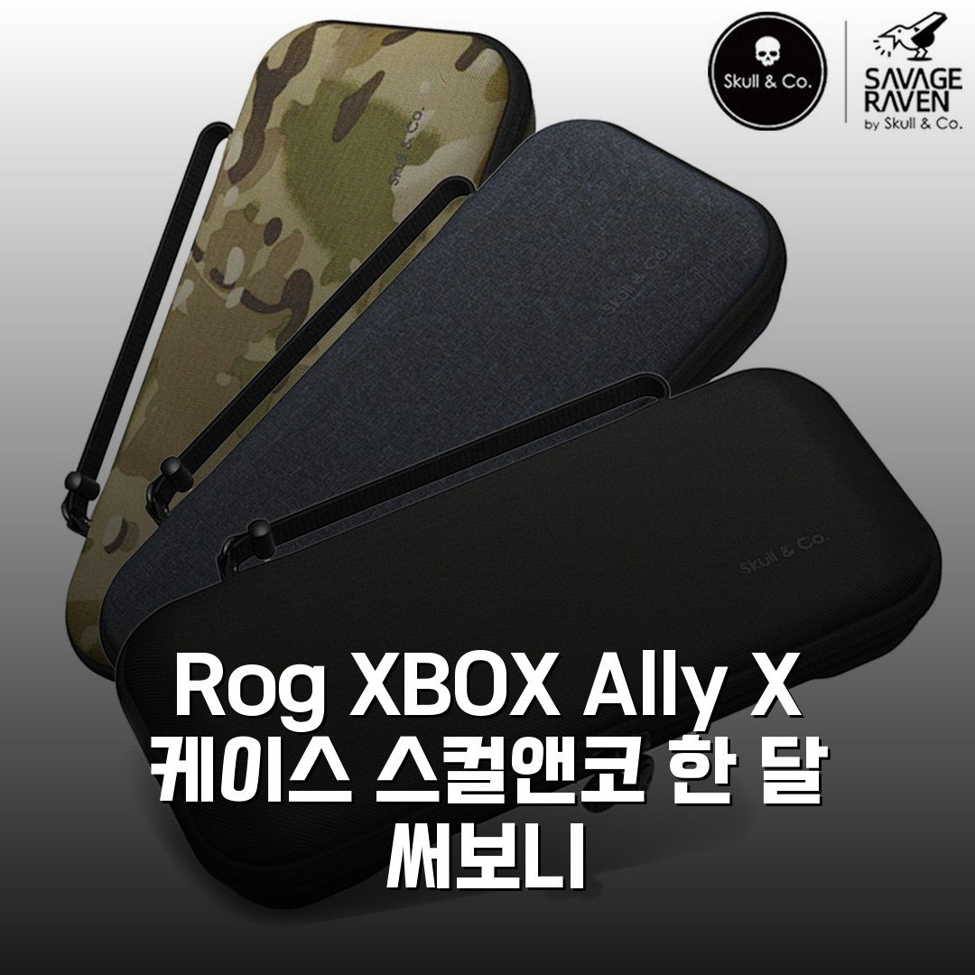 Rog XBOX Ally X 케이스 스컬앤코 한 달 써보니