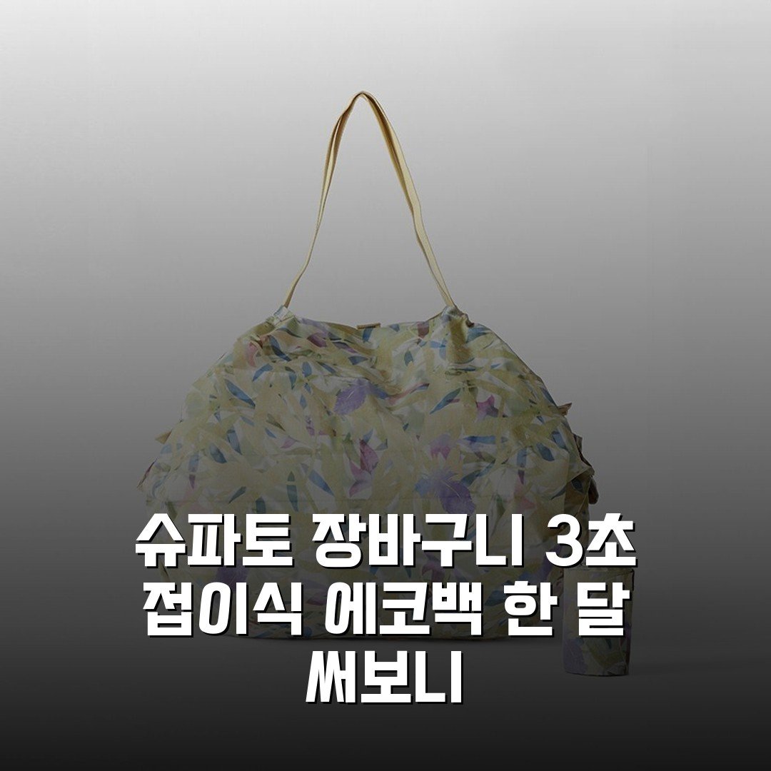 슈파토 장바구니 3초 접이식 에코백 한 달 써보니